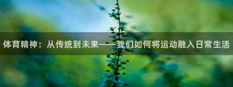 雷鸟体育：体育精神：从传统到未来——我们如何将运动融入日常生活