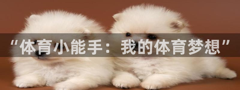 雷鸟体育免费下载：“体育小能手：我的体育梦想”