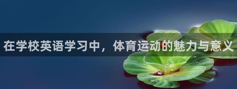 雷鸟体育：在学校英语学习中，体育运动的魅力与意义
