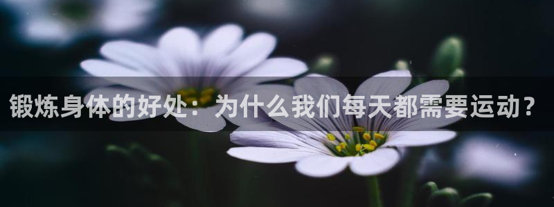 雷鸟体育nba直播：锻炼身体的好处：为什么我们每天都需要运动？