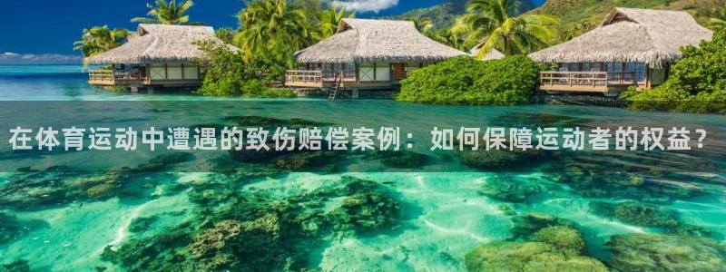 雷鸟体育app下载官网：在体育运动中遭遇的致伤赔偿案例：如何保障运动者的权益？