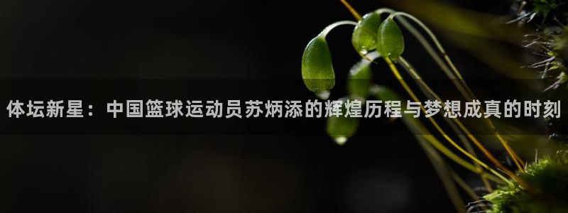 雷鸟体育苹果版下载：体坛新星：中国篮球运动员苏炳添的辉煌历程与梦想成真的时刻