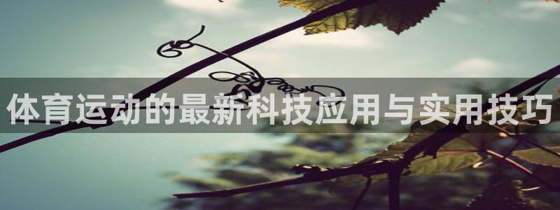 雷鸟体育cba：体育运动的最新科技应用与实用技巧