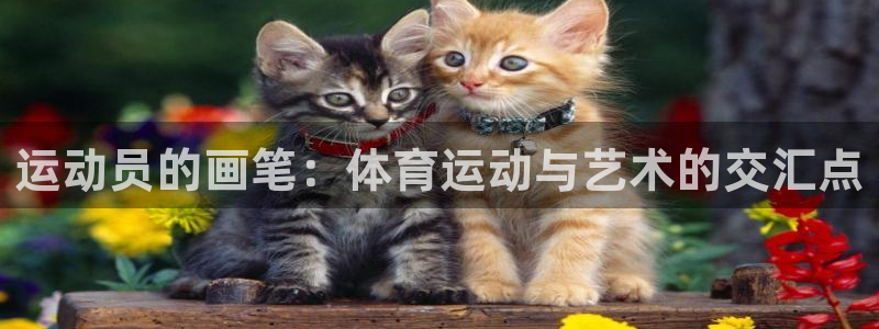 雷鸟体育官网入口：运动员的画笔：体育运动与艺术的交汇点