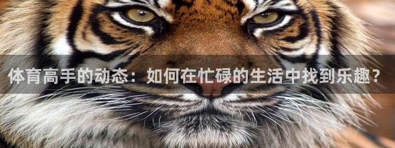 雷鸟体育APP下：体育高手的动态：如何在忙碌的生活中找到乐趣？
