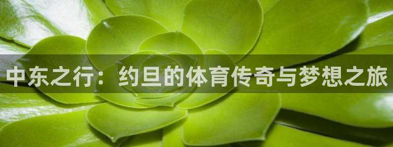 雷鸟体育app：中东之行：约旦的体育传奇与梦想之旅