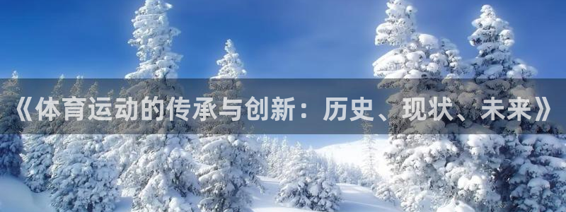 雷鸟体育正版下载：《体育运动的传承与创新：历史、现状、未来》